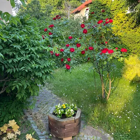 Otium Z Prywatnym Ogrodem Sopot
